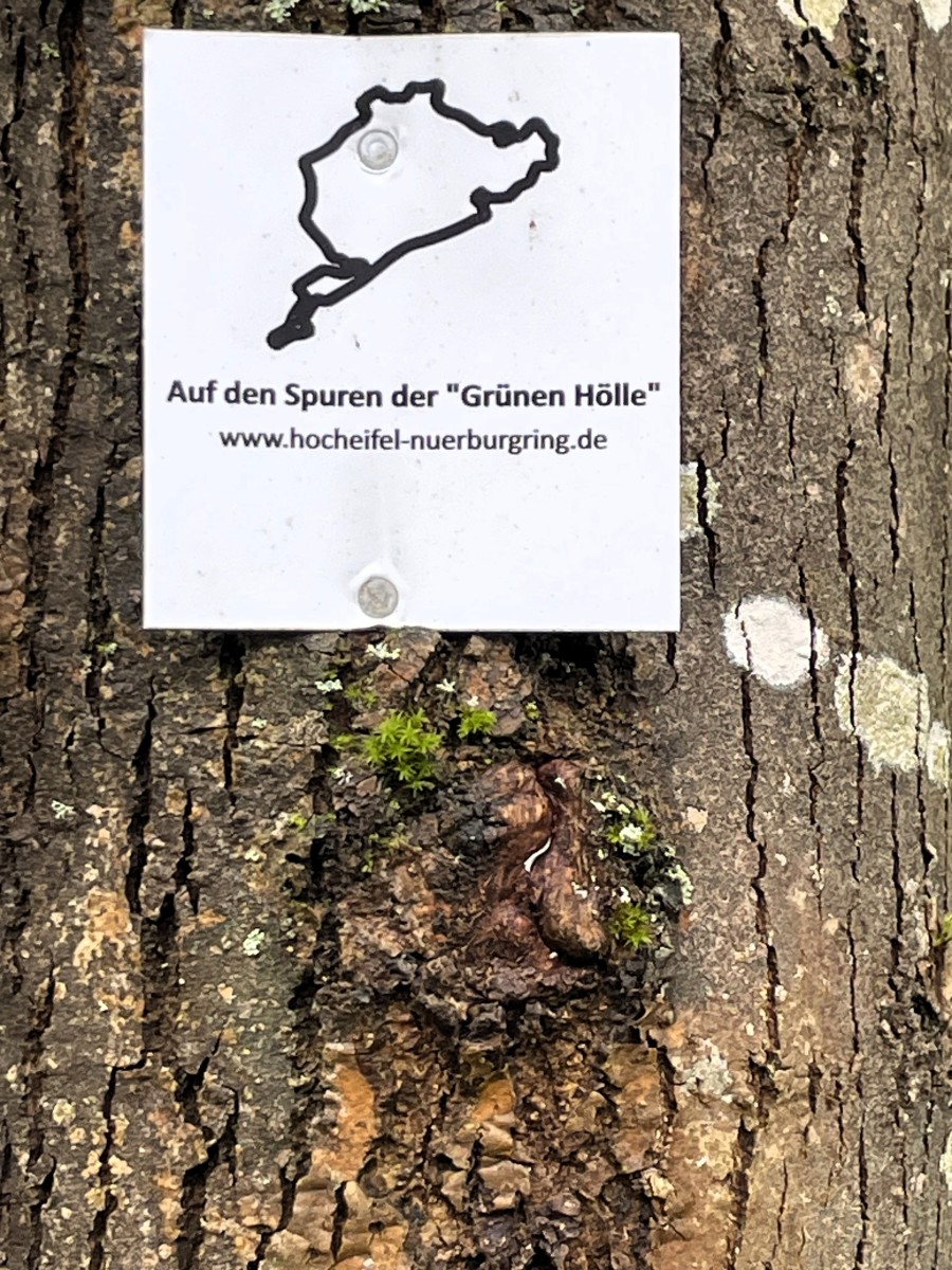 12-Auf-den-Spuren-der-Gruenen-Hoelle